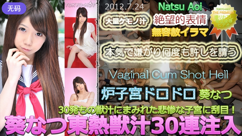 n0765_natsu_aoi_mo 葵なつ東熱獣汁30連注入 海报