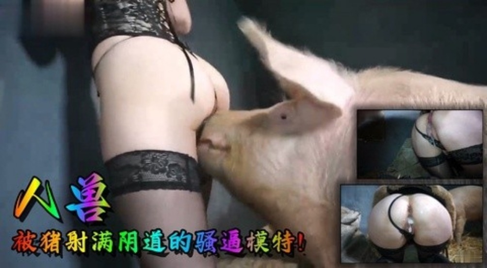 【高清人兽】被猪射满阴道的骚逼模特 海报