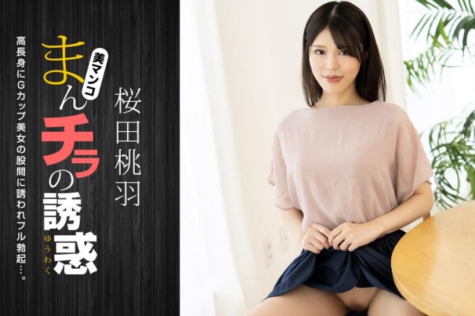 阴户诱惑～高G杯美妈～ 海报